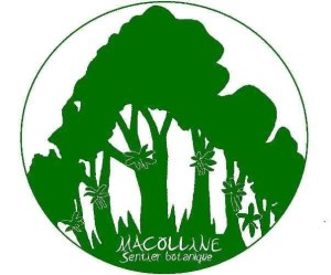macolline logo original