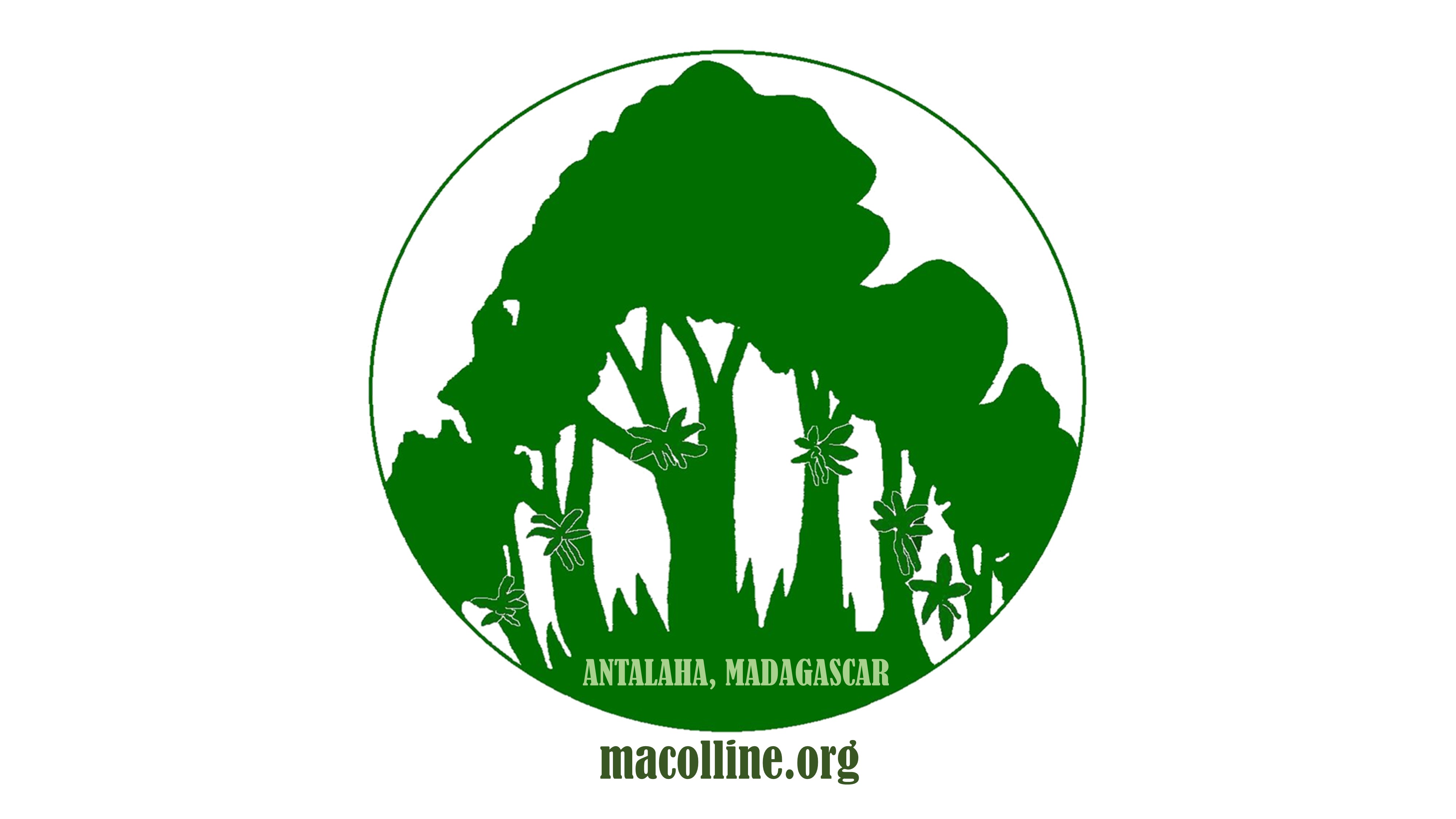 macolline logos website below